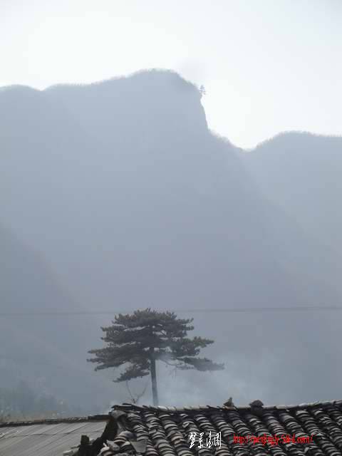 DSC03508.JPG