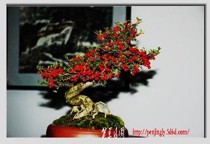 С DSC_0127_.jpg