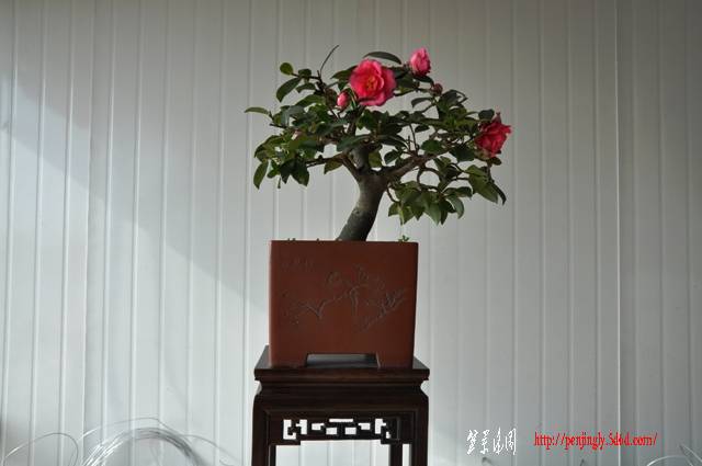 Ƭ 016.jpg