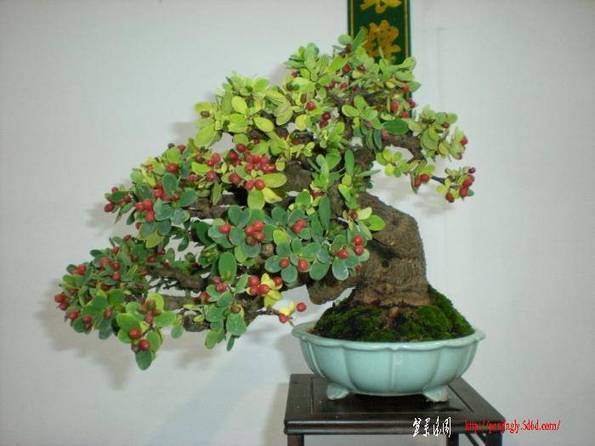 DSCN0551.jpg