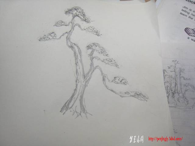 IMG_0856.JPG