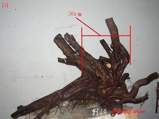 095309mmjl5qo8nmoqndxu.jpg