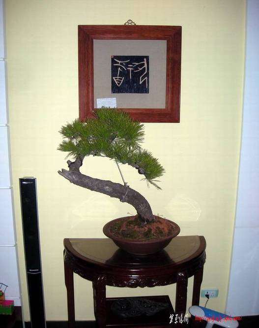 DSCN4119.JPG