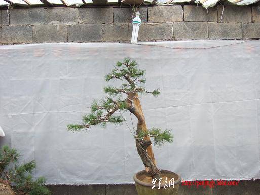 DSCF5470.JPG