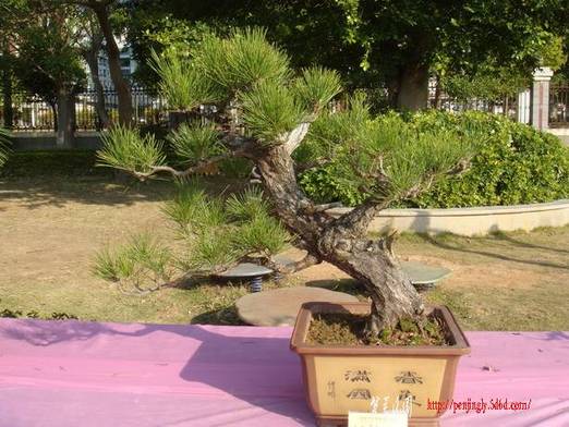 DSC06147_С.JPG