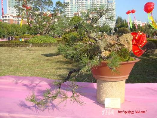 DSC06232_С.JPG