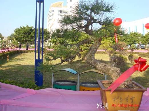 DSC06237_С.JPG