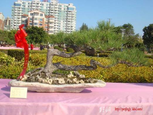 DSC06278_С.JPG
