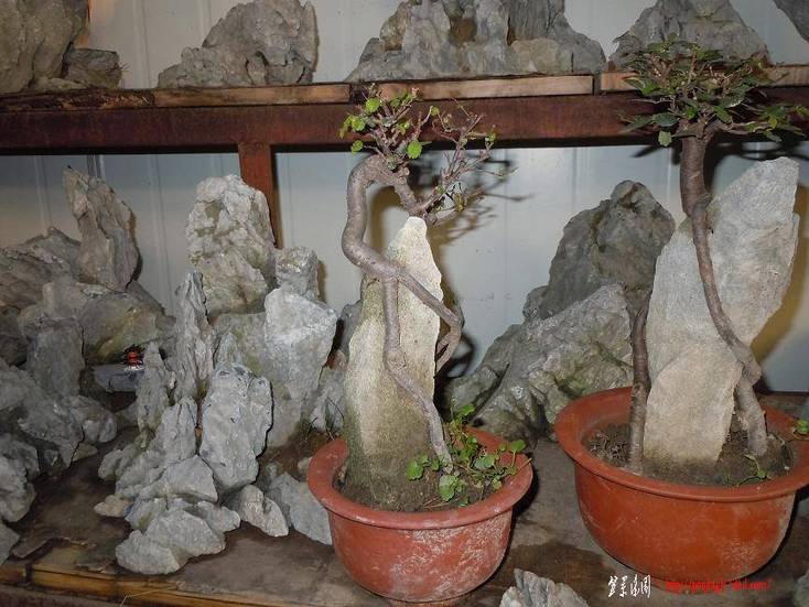 Ƭ 067.jpg