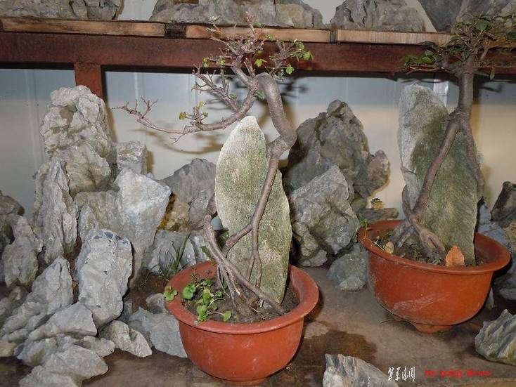 Ƭ 065.jpg