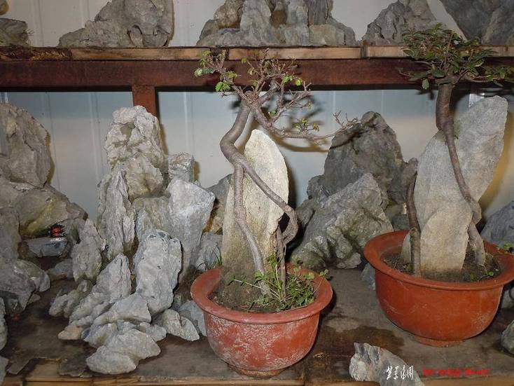 Ƭ 066.jpg