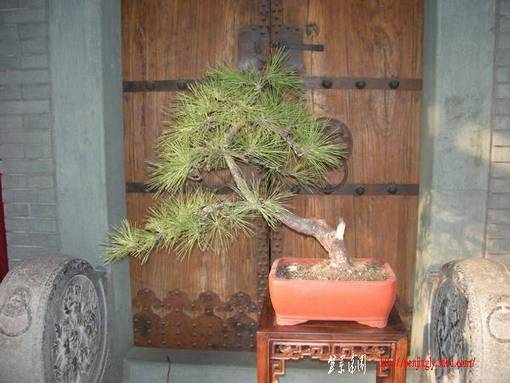 DSCN4136.JPG