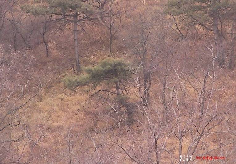 SANY0079.jpg