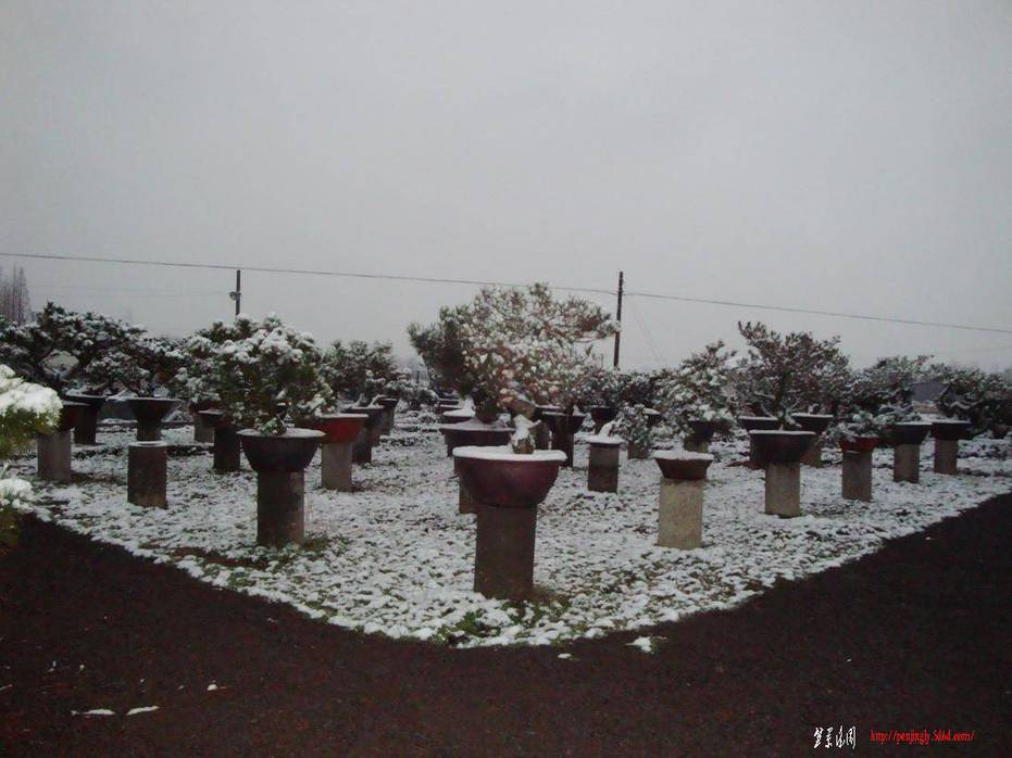 DSC01926.JPG