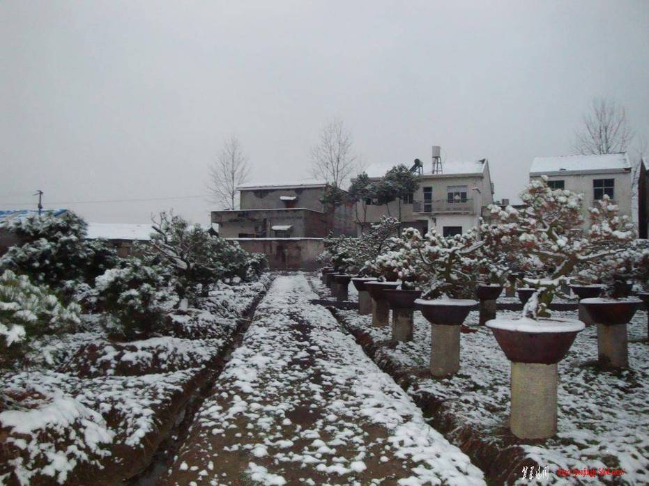DSC01922.JPG