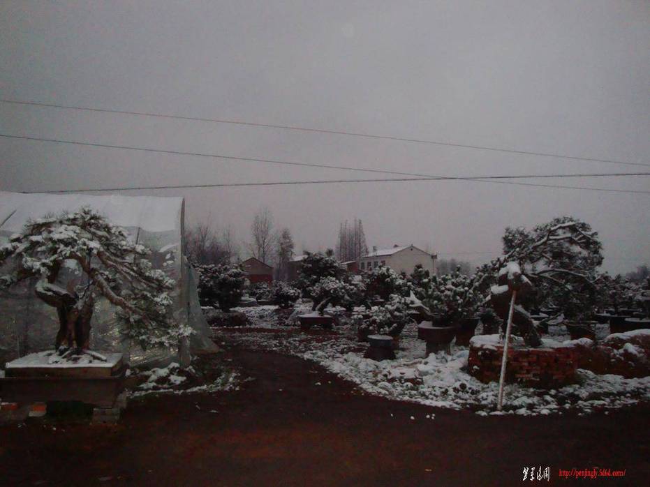 DSC01930.JPG