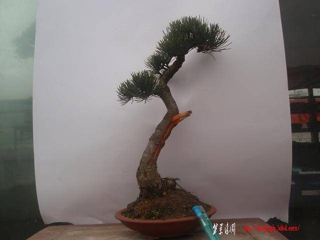 P1011210.JPG