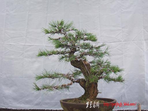 DSCF5429.JPG