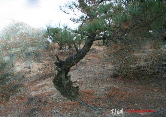 Ƭ 091.jpg