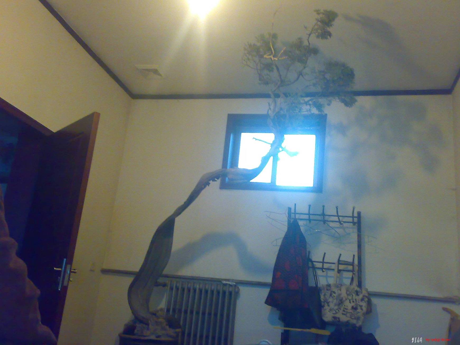 20110117001.jpg