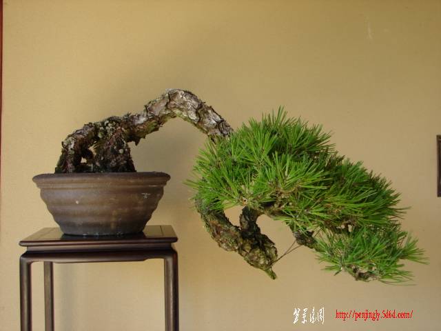 DSC04419.jpg