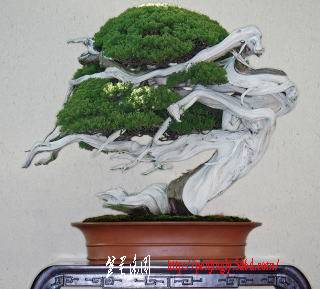 h22_1meifu_shinhaku_kitho.jpg