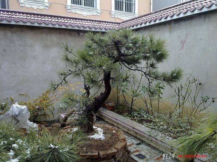 20110128249.jpg