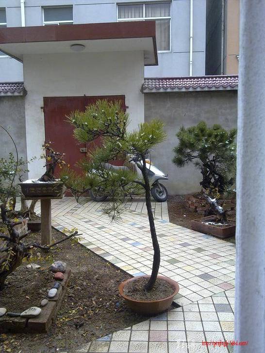 20110128222.jpg