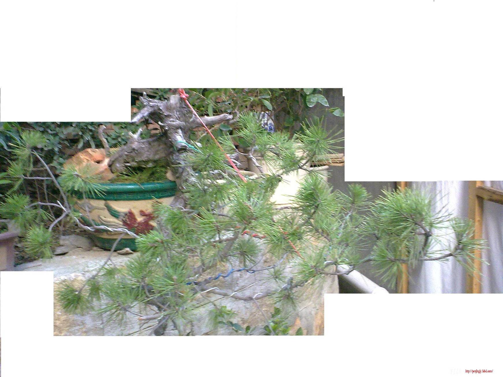 201001160041.JPG