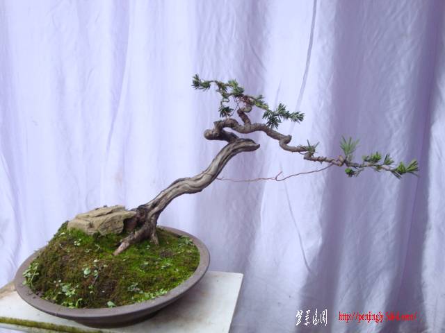 DSC03712.JPG