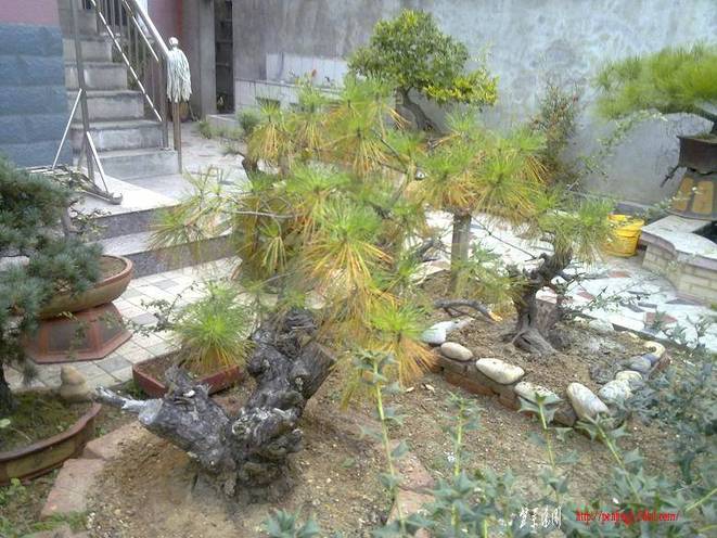 20101111129.jpg
