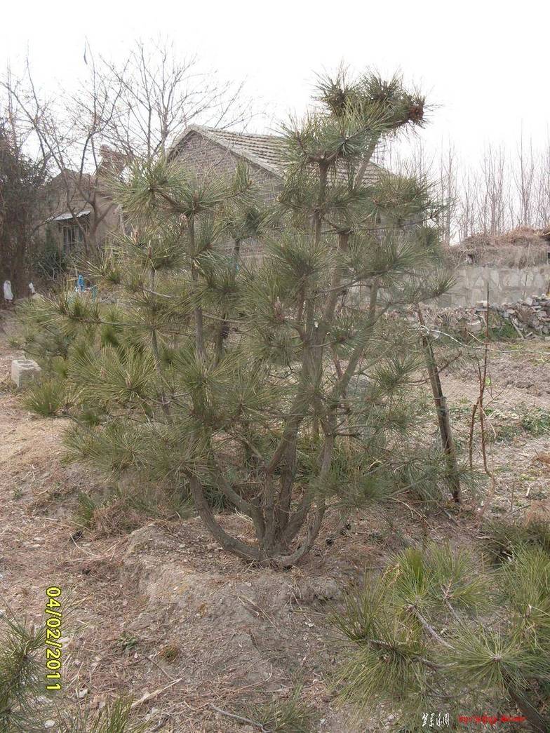 SDC12789.JPG