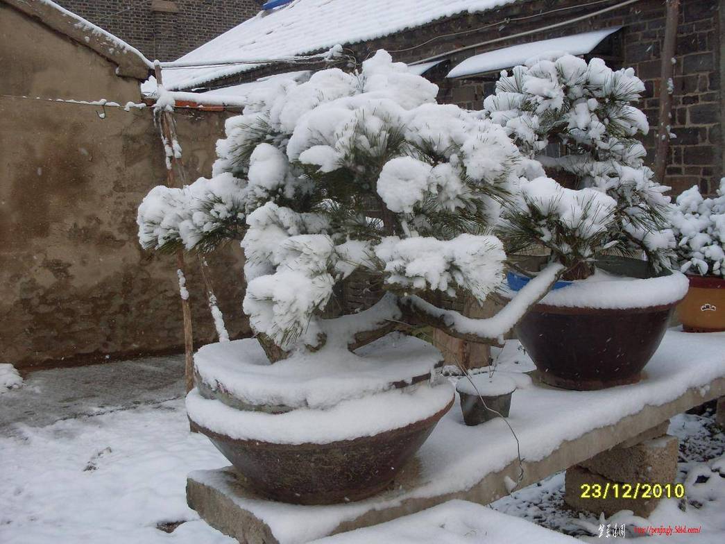 SDC12713.JPG