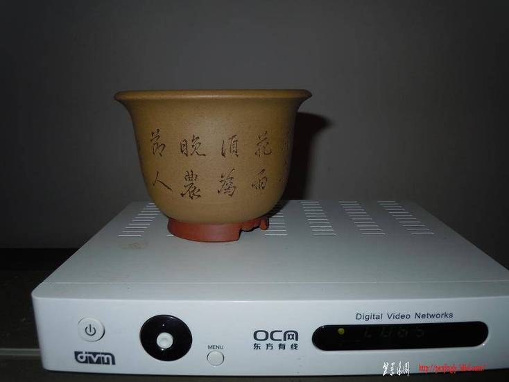 Ƭ 124.jpg