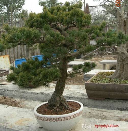 2011.2.84.jpg