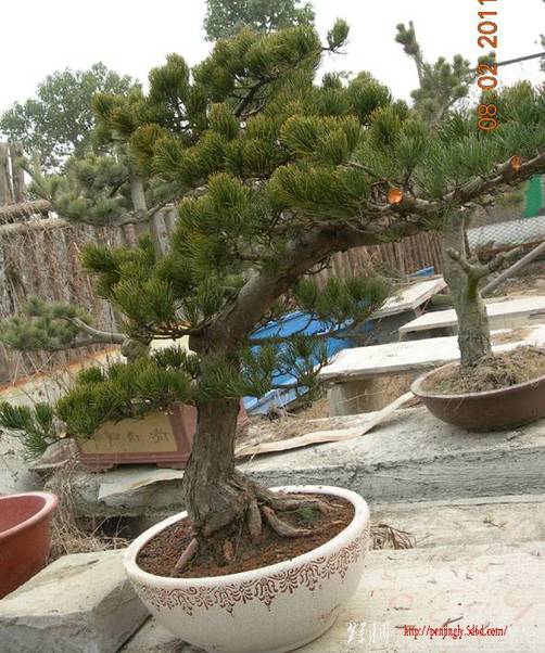 2011.2.85.jpg