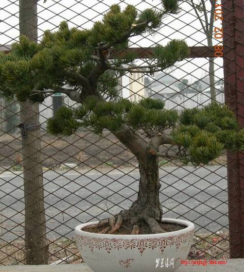 2011.2.87.jpg
