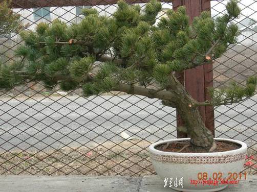 2011.2.88.jpg