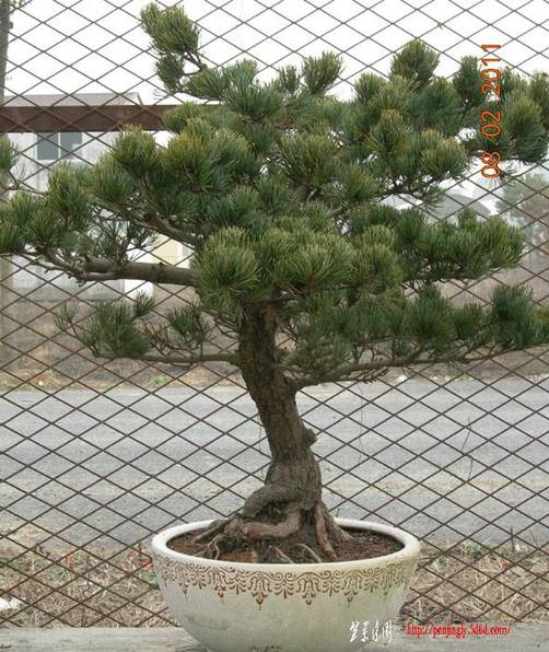 2011.2.89.jpg