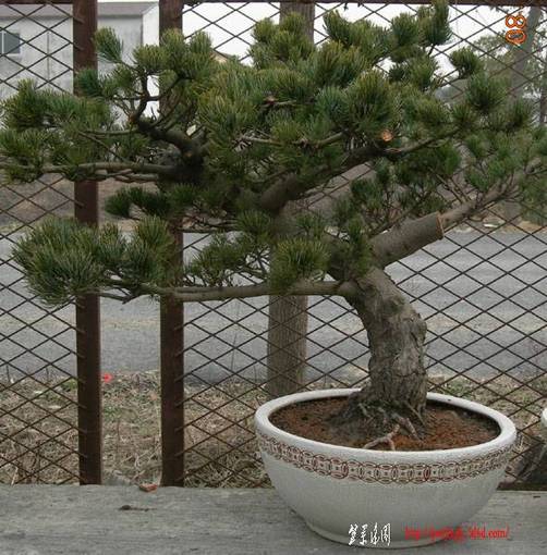 2011.2.811.jpg
