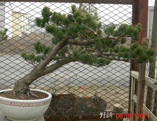 2011.2.812.jpg