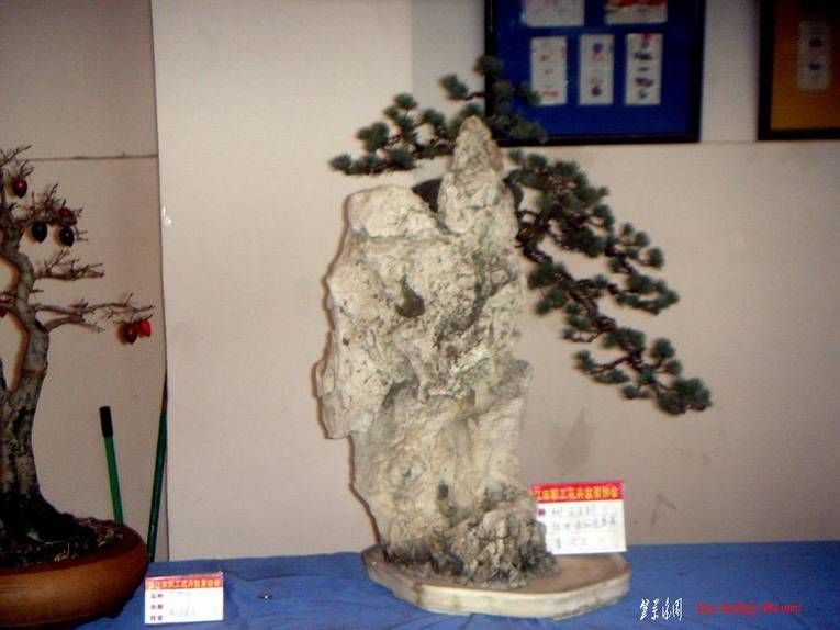 ʯ2.JPG