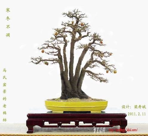 20080406002558.jpg