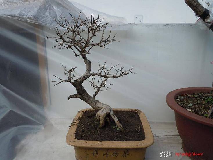 DSCN0867.jpg