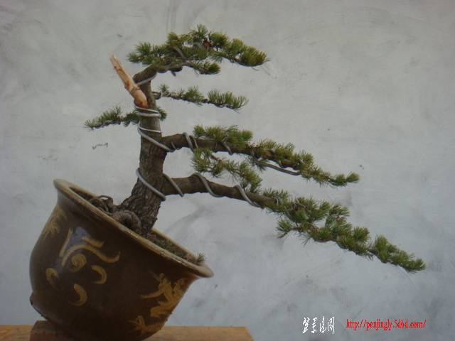 DSC07817.JPG