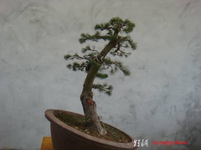 DSC07820.JPG