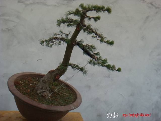 DSC07819.JPG