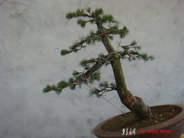 DSC07821.JPG