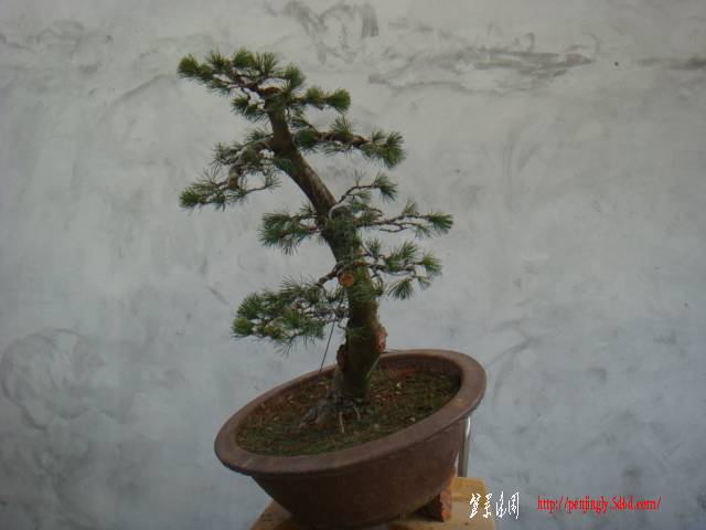 DSC07822.JPG
