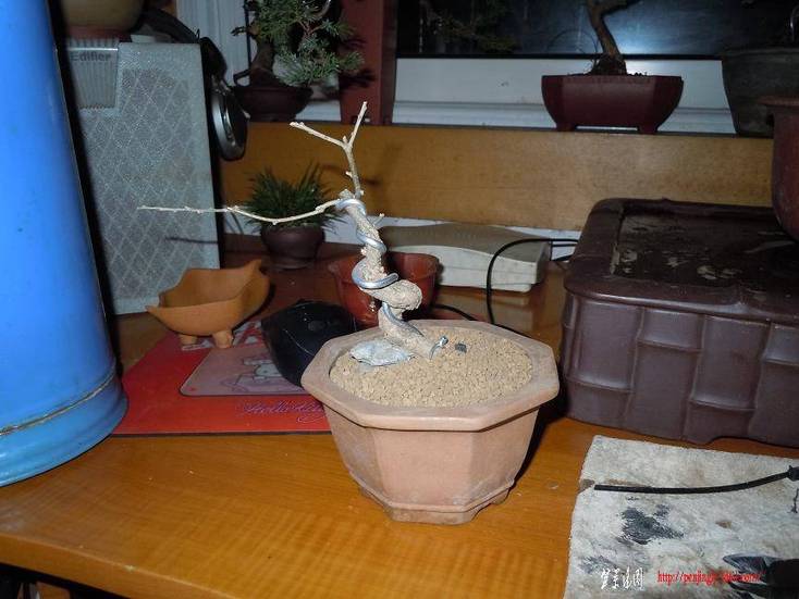 DSCN0922.jpg